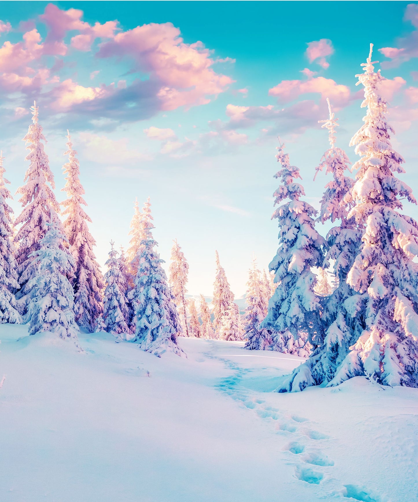 Winter Solstice Meditation